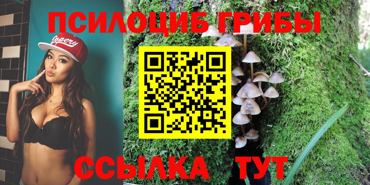 Зима  Псилоцибиновые грибы Cubensis  Вход с VPN 