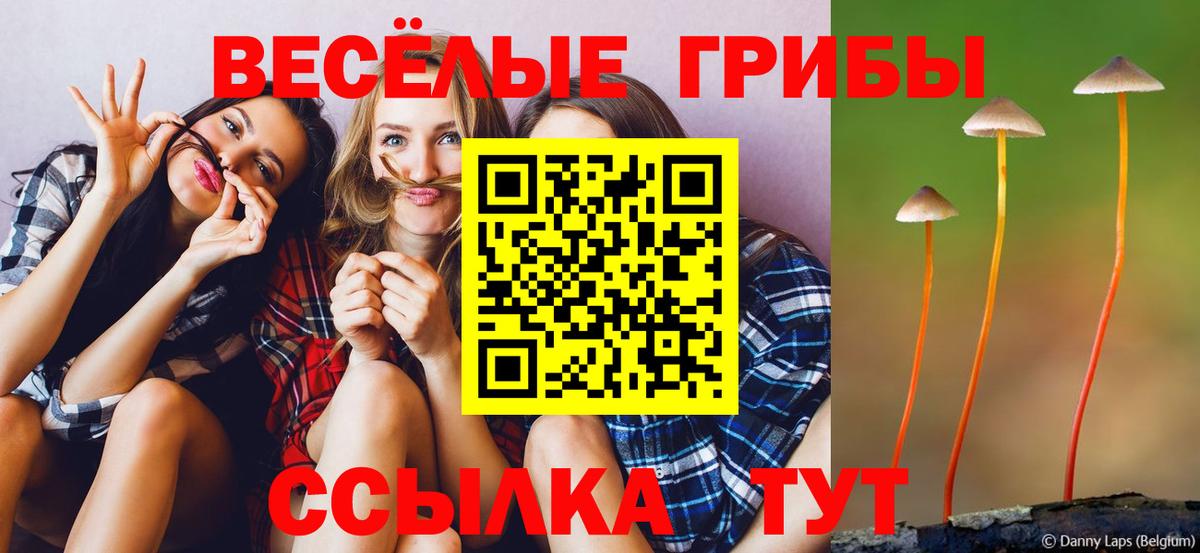Галлюциногенные грибы Magic Shrooms Зима